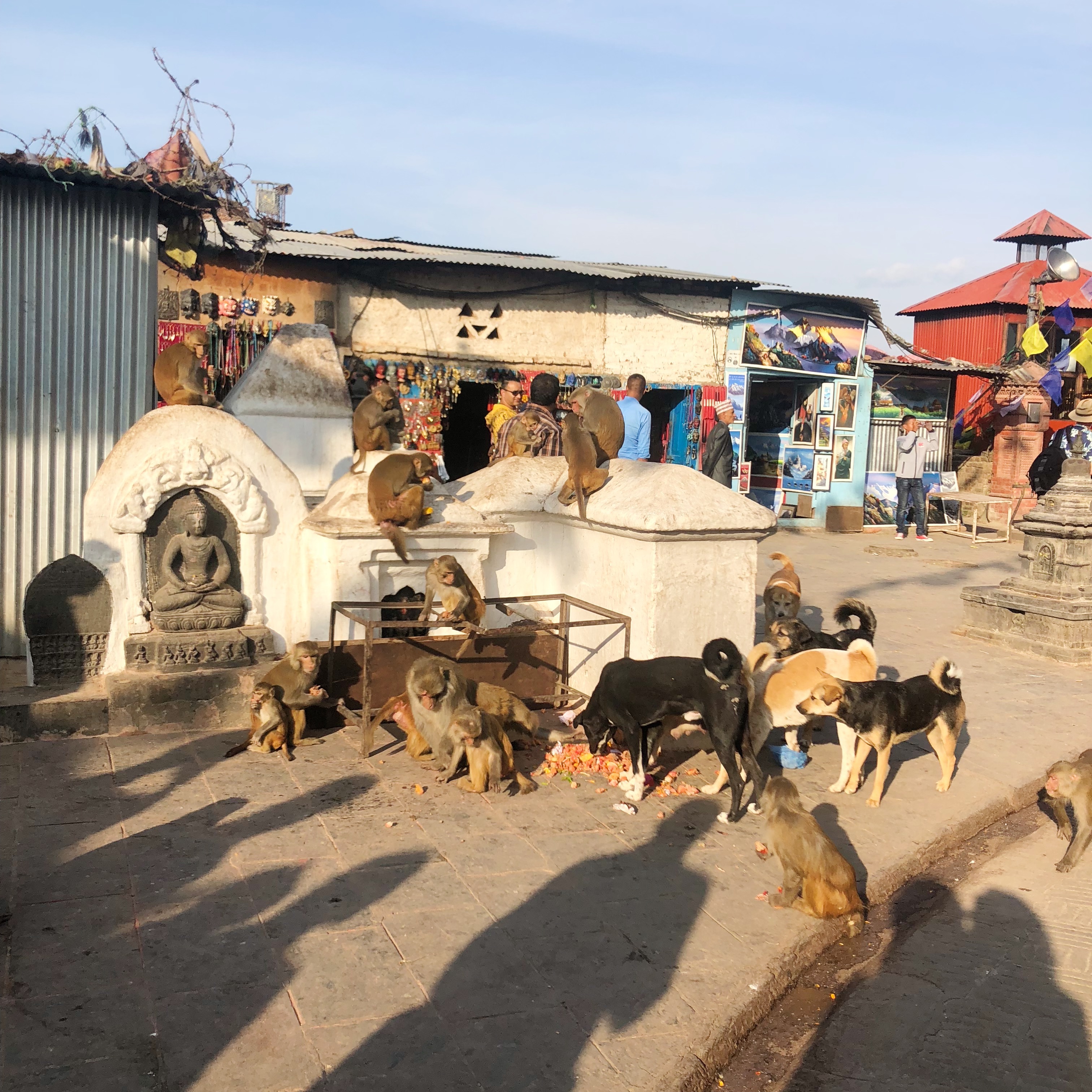 尼泊尔自由行旅游攻略,尼泊尔自驾游纯玩路线定制