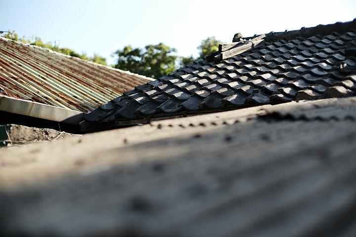 反璞归真2.0,反璞归真005