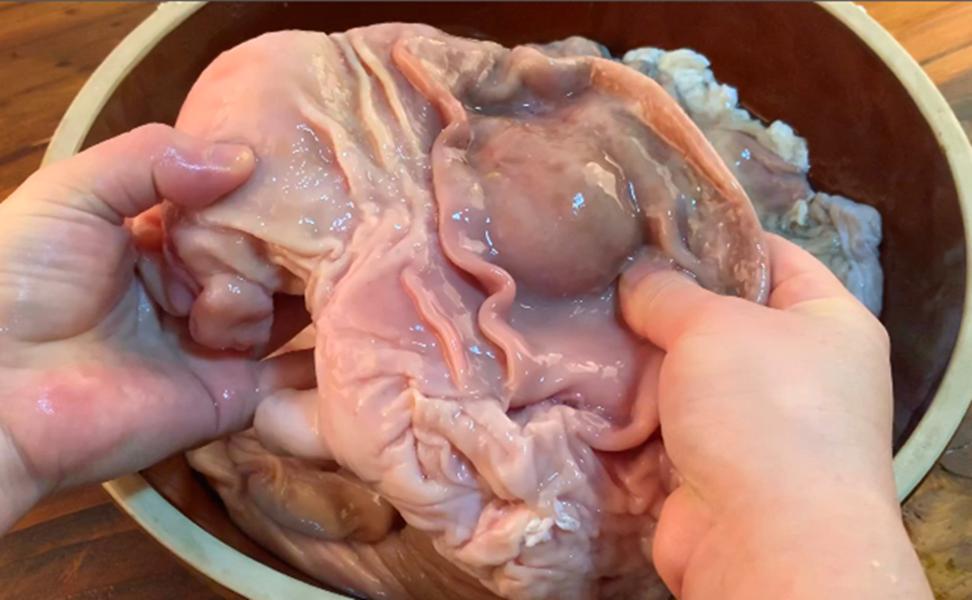 洗猪肚容易破,洗猪肚为什么要用醋