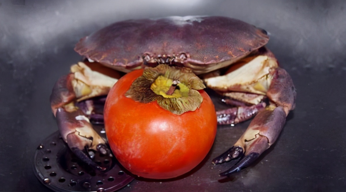 营养科医生辟谣螃蟹柿子毒如砒霜,吃多少柿子和螃蟹会结石