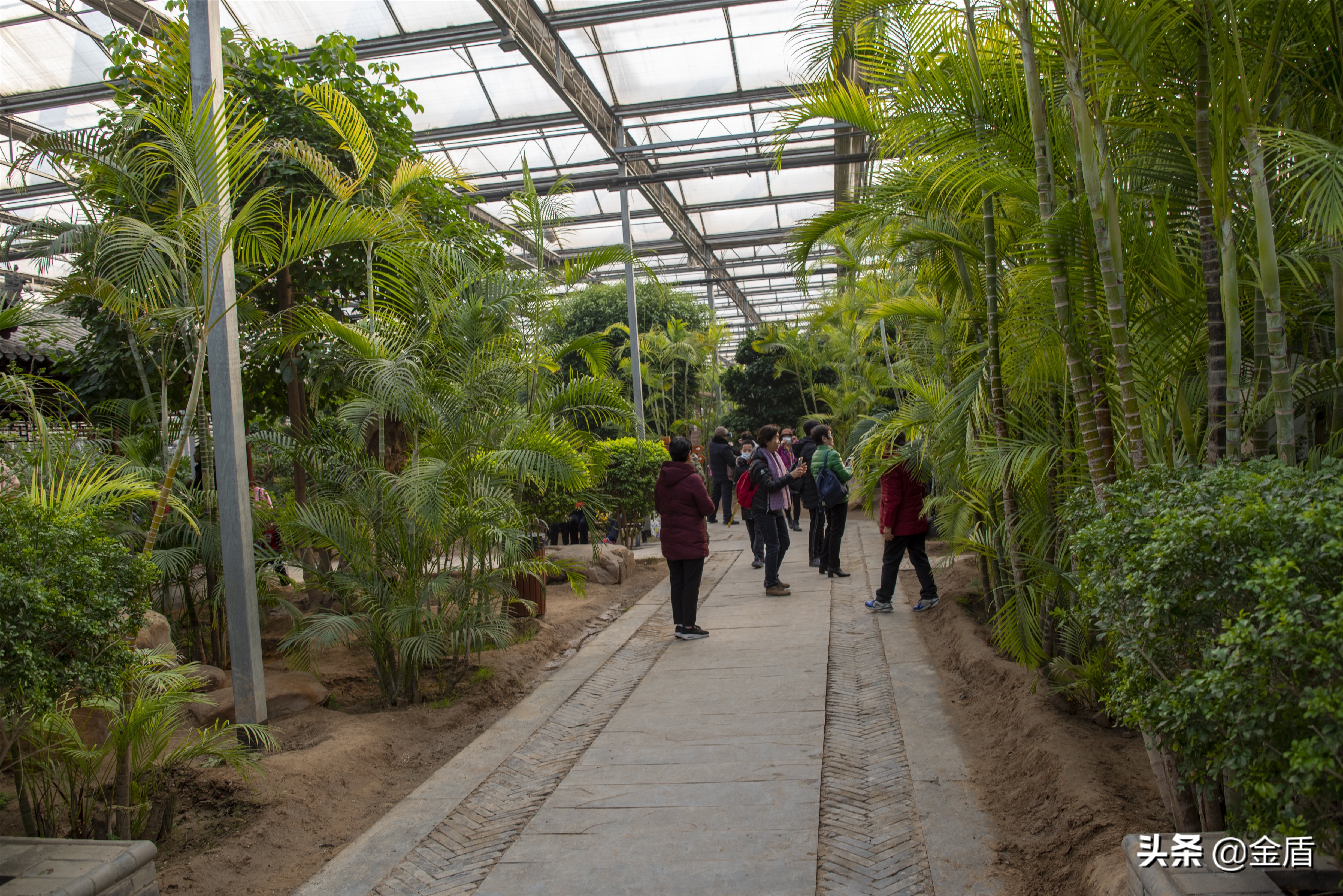 九天休闲谷游览攻略,九天休闲谷欢迎您游玩