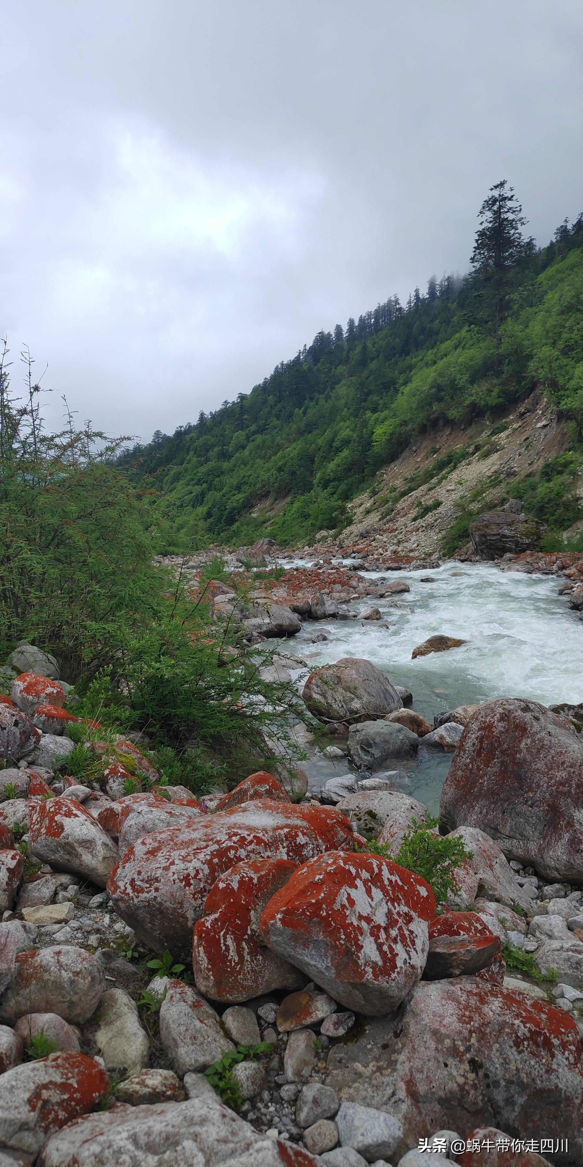 四川成都一家四口骑行游西藏,成都一家三口八日游