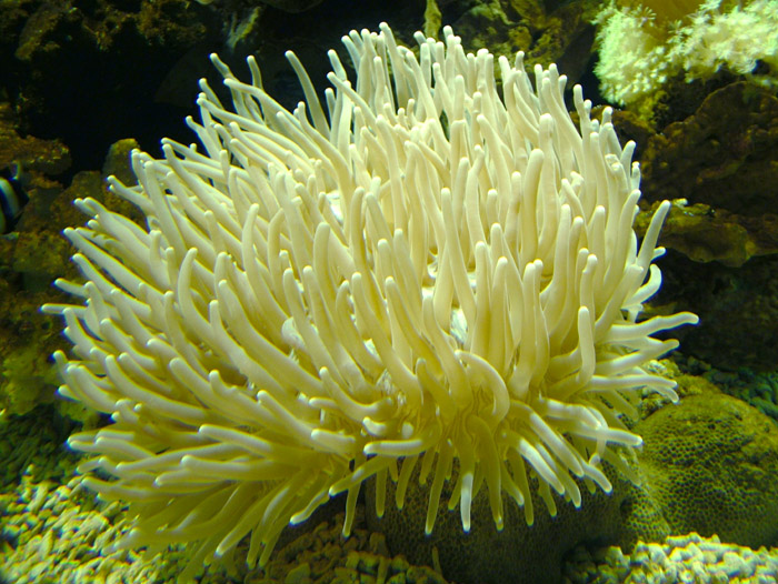 成都海底世界极地海洋馆照片,成都最出片的海洋馆