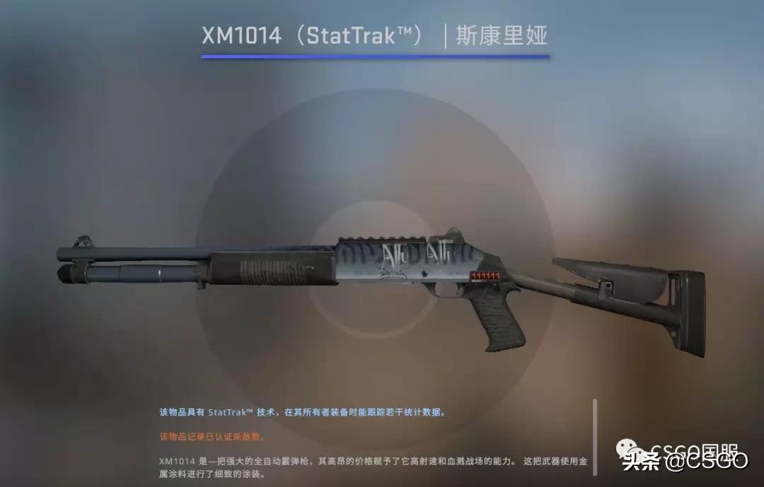 csgo皮肤控,皮肤管理第50集