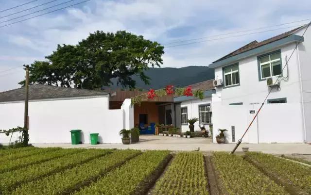 北仑适合带孩子去哪里玩,北仑适合自己一个人玩的地方