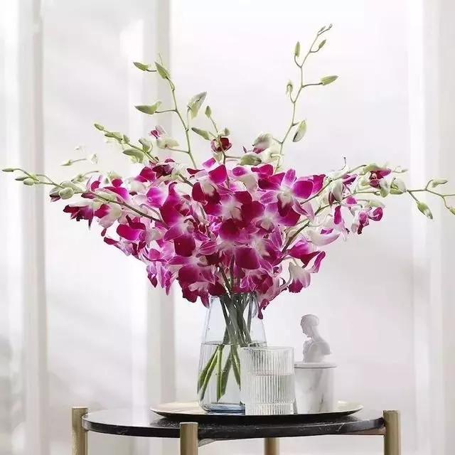 过年家里摆什么植物好,家里过年要摆几样水果