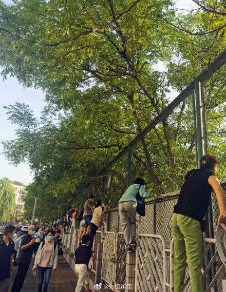 嘻咦嗷笑就完了NO.3