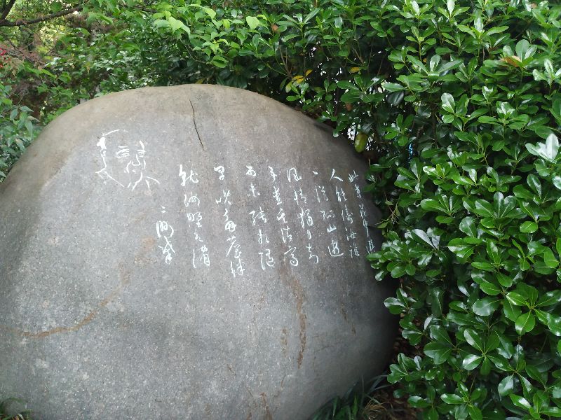 林逋隐居西湖孤山,林逋隐居杭州孤山阅读答案