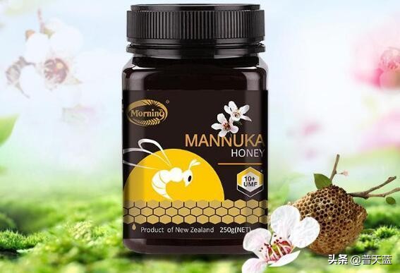 新西兰的特产牛奶介绍,新西兰十大著名特产