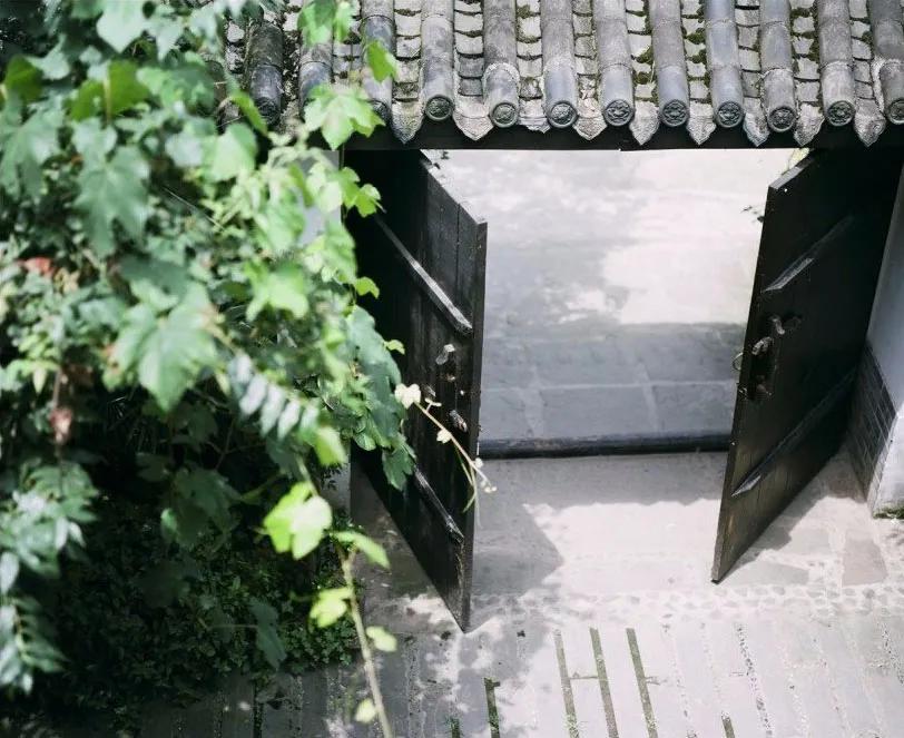 租下城郊200㎡小院,和陌生人一起生活5年:唱歌、染布、盖树屋