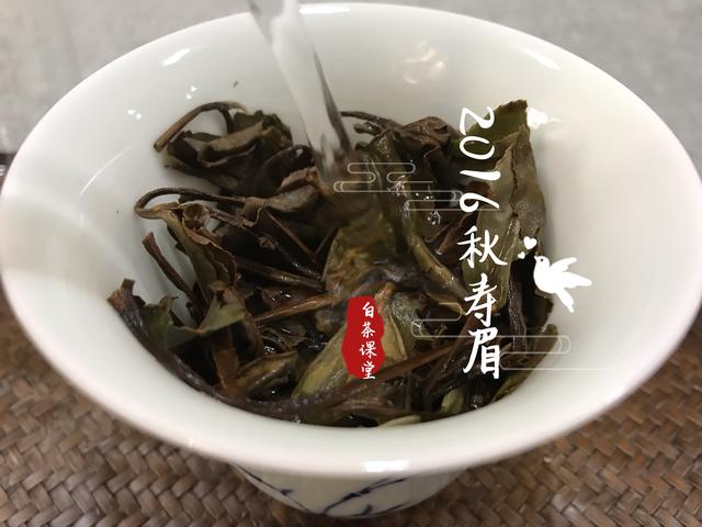 怎样才能煮出老白茶的香气,为什么老白茶会有一点红茶味