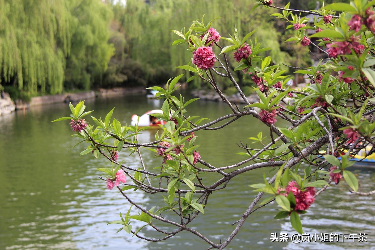 郑州最值得去的几个地方,郑州值得一逛的地方是哪里