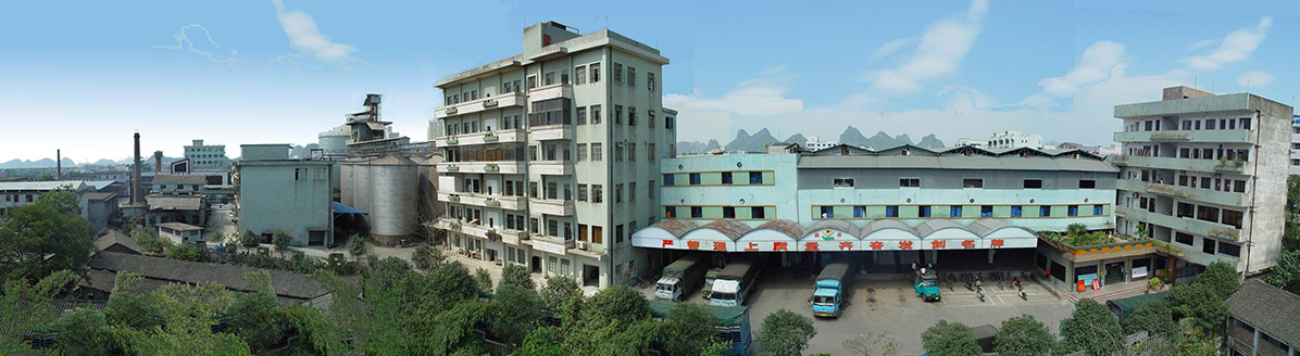 桂林力源在中国排名,为什么选择桂林力源集团