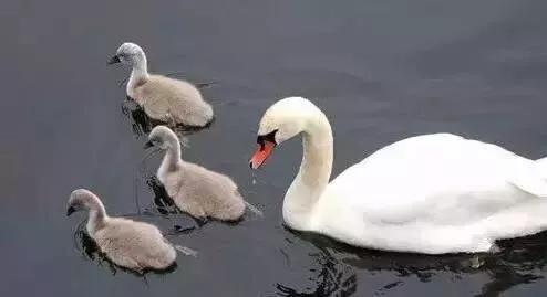 人静的时候躺下来仔细想想,夜深人静时想想自己的人生