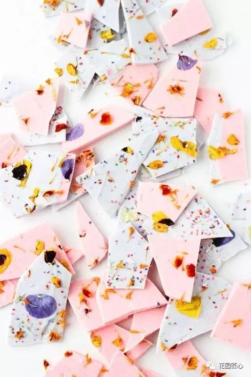 可以食用的花可制作的美食,100种可食用花的做法