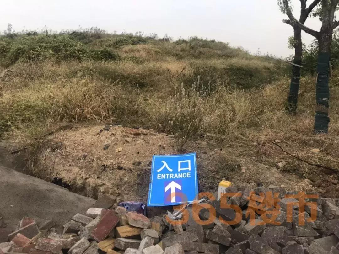 江宁楼盘被曝光,江宁地产最新消息