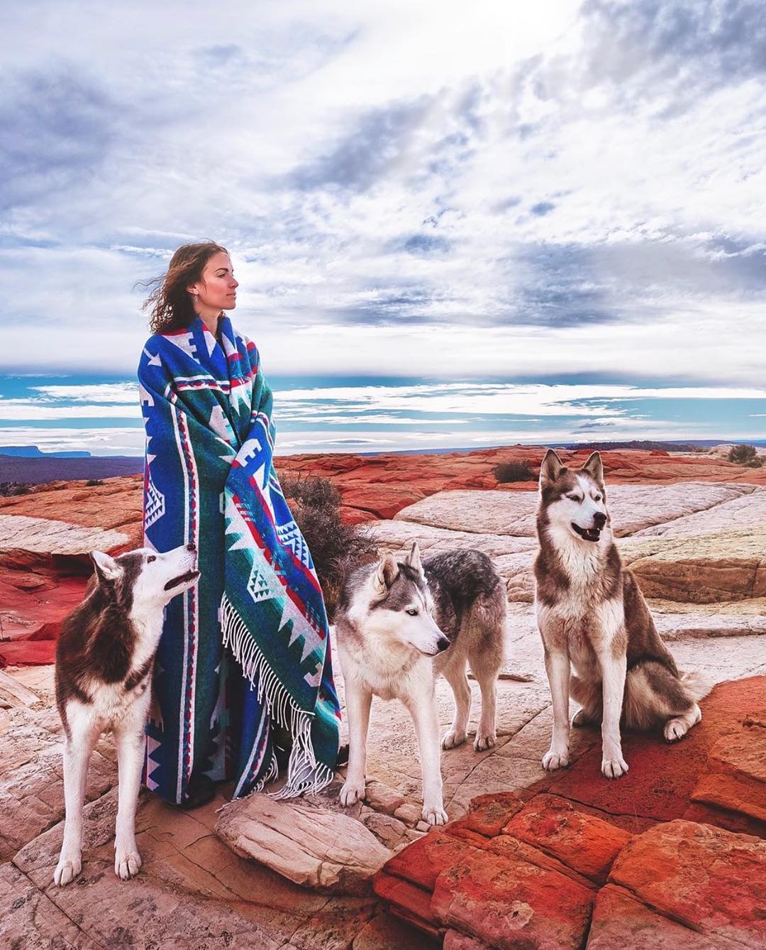 如何在日常生活中判断狗狗的健康,怎么从外表判断狗狗的健康情况