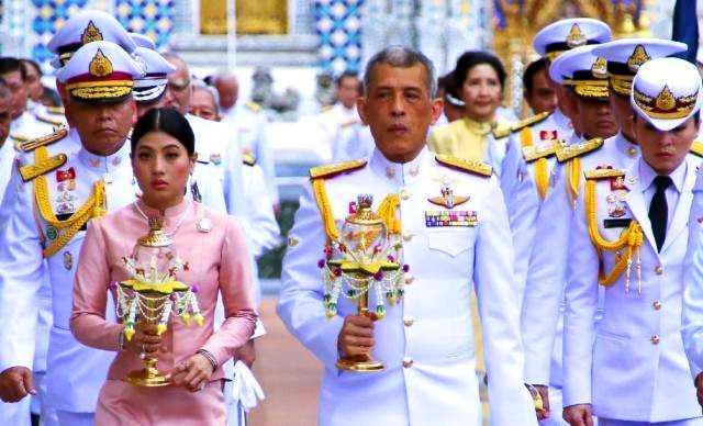 茉莉花精油一次用多少,重瓣茉莉精油