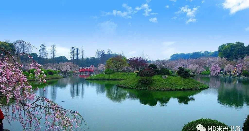 选购浴室柜经济实惠的品牌,广东高端浴室柜怎么选购