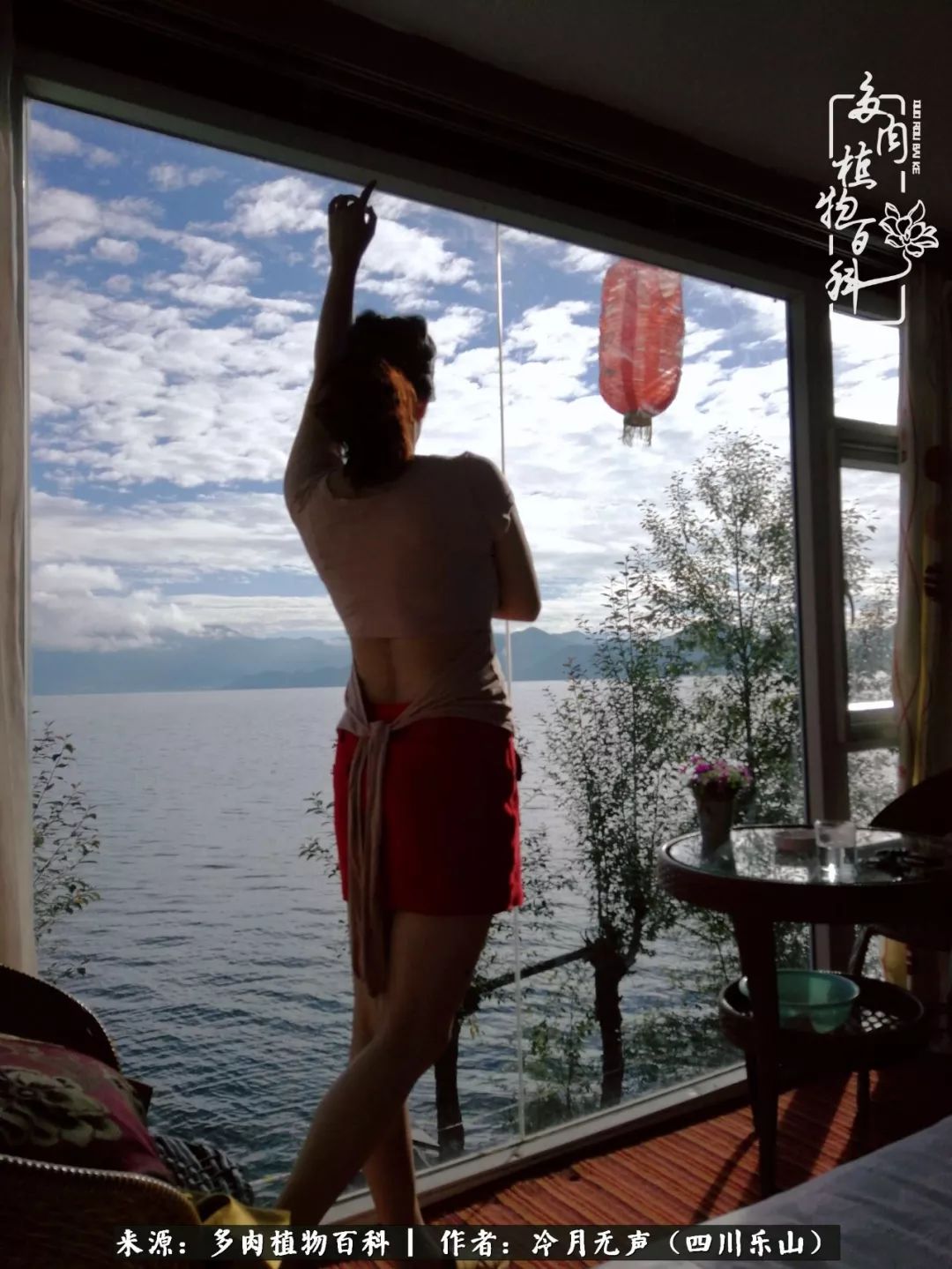 时光见证多肉故事,关于多肉的故事