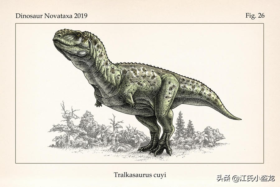 古生物时代有多少种恐龙,人类已经发现了多少恐龙种类