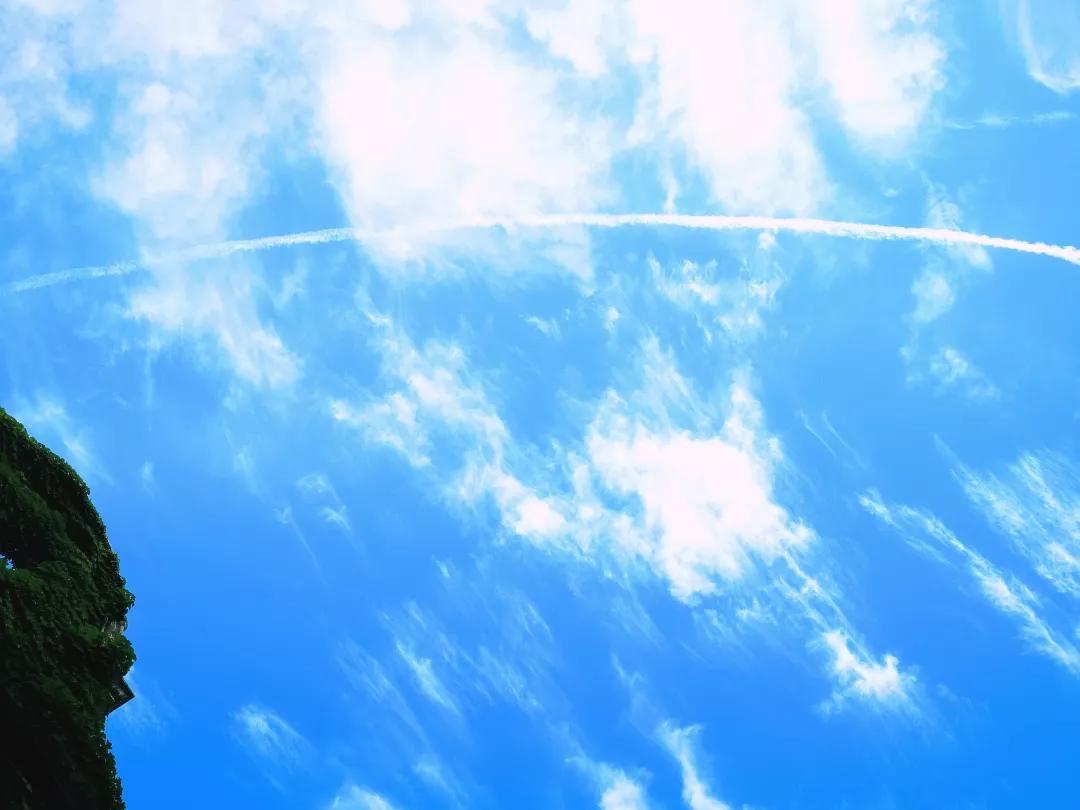 皮肤科医生最喜欢的痘痘