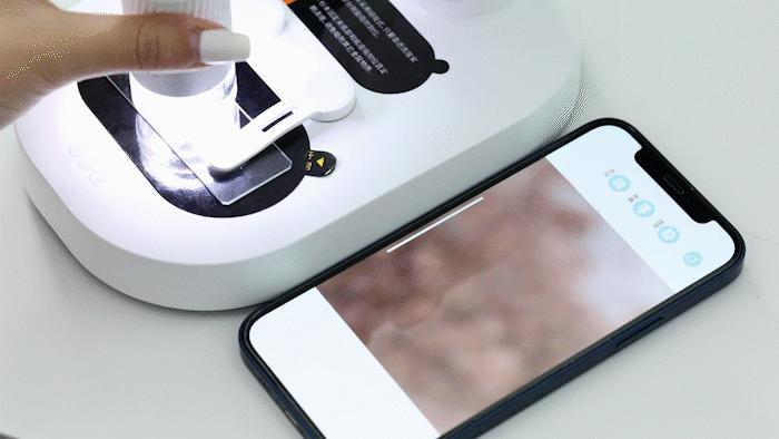 暑假孩子玩手机不如打篮球吧,儿童显微镜放大蚂蚁120倍