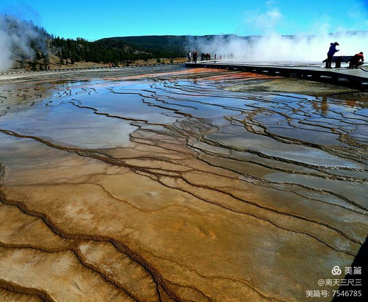 鍖楃編鏋儏闃虫柊,鍖楃編鏋儏鍥剧墖
