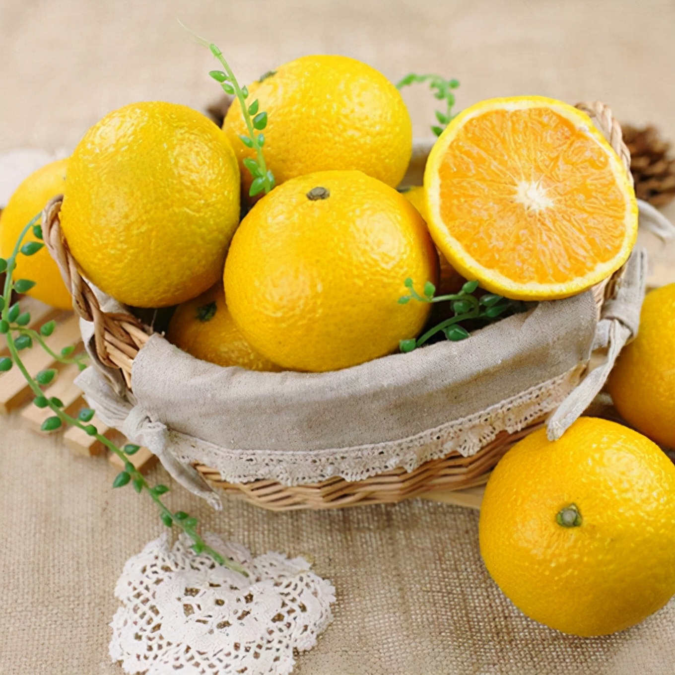 浙江高山甜桔柚,浙江绿色甜桔柚