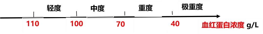 成人贫血吃什么药又补铁又补血,孕妇贫血补铁还是补血好