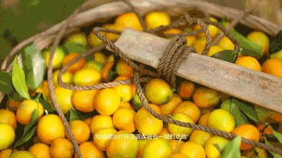 嗓子干痒、咳嗽感冒非常管用,老人小孩都爱吃