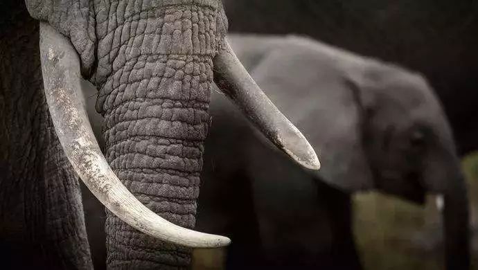 对身体有益的宝石排行,哪种宝石不吸收人体精华却能养人