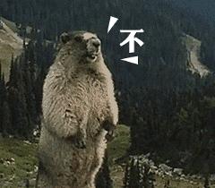 是我们太敏感，还是他们在引战？