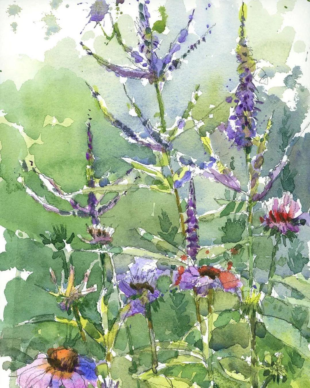 酣畅淋漓的水彩,酣畅淋漓水彩