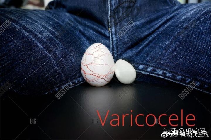 男性的蛋蛋竟然也能“勃起”？