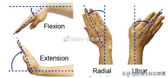 手腕关节灵活性练习方法,腕关节灵活性训练方法