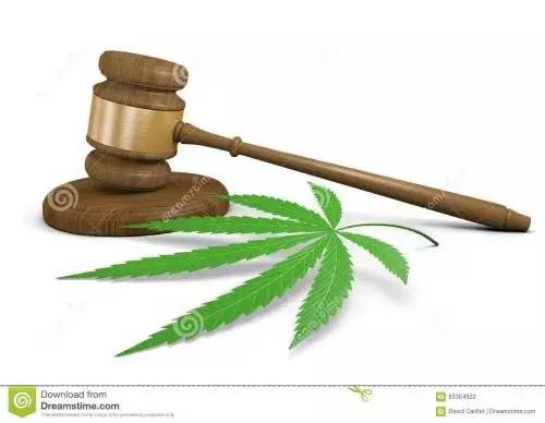 工业*麻大**:从北美火到中国,23个值得关注的行业机会