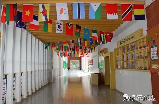 大源片区小学排名,高新区大源片区学校排名