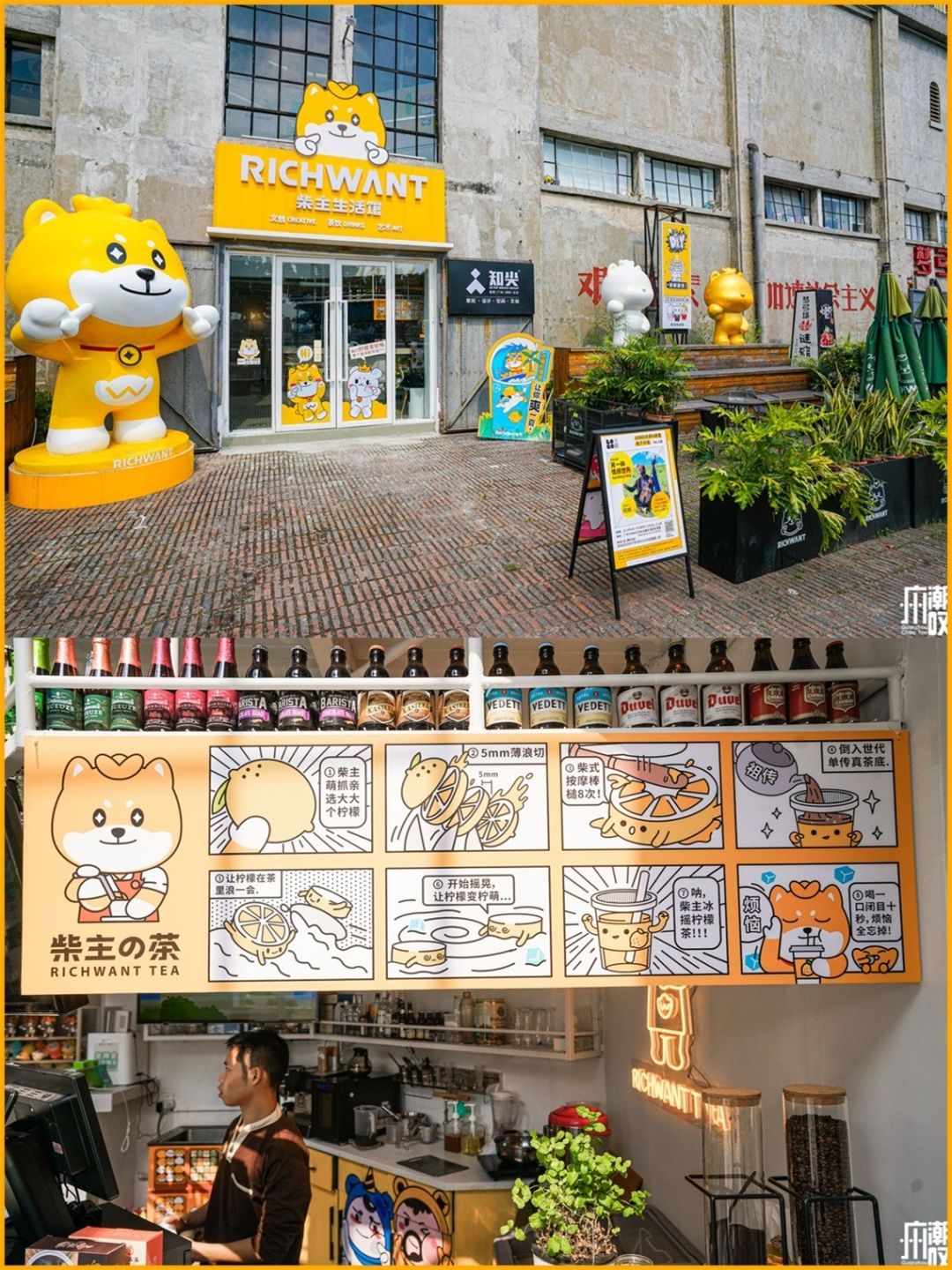 新潮展览+撸狗，广州这家新开的汪星人主题店萌爆了