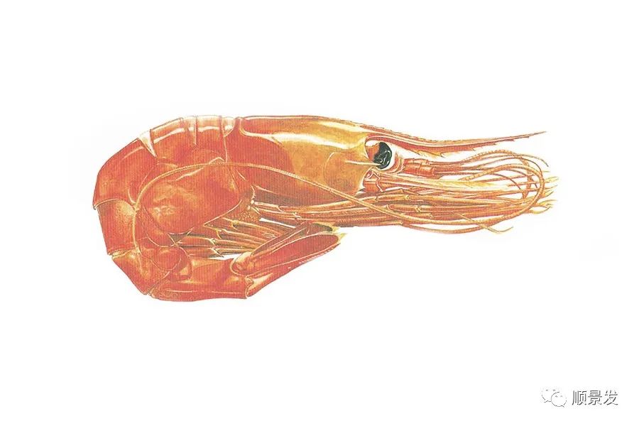 挪威和中国签订协议,挪威希望与中国加强合作