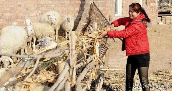 农村要彩礼为什么要那么多,农村彩礼贵怎么办