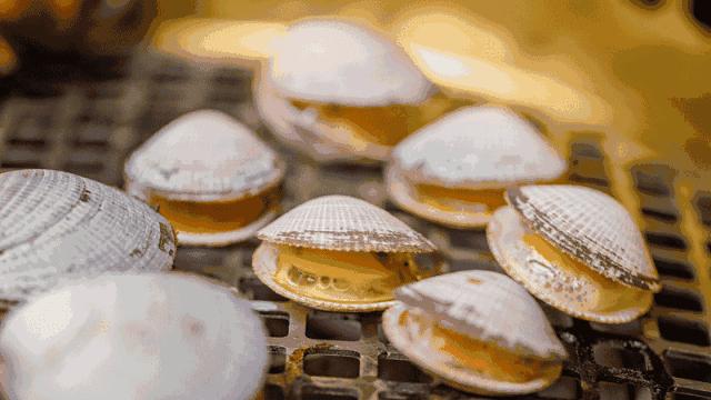 连云港本地吃海鲜攻略速来看,连云港旅游海鲜美食