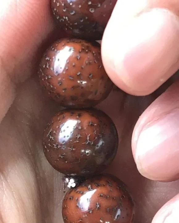 星月菩提如何盘出包浆,星月菩提包浆后如何盘玩