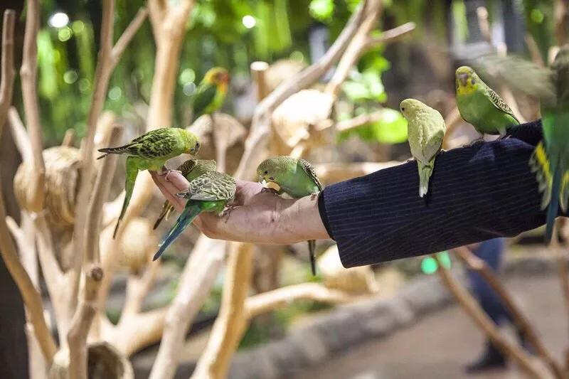 春节去哪里旅游好吃的多一点,好嗨哟吃喝玩乐