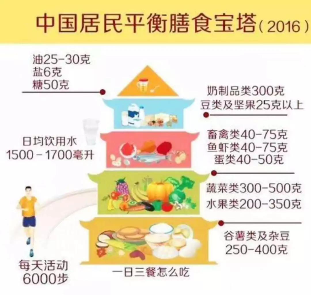 高中生营养早餐健康搭配,高中生营养早餐60套