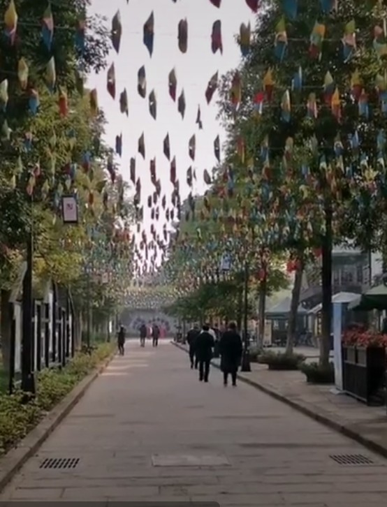 遂宁龙凤古镇详细资料,四川省遂宁市龙凤古镇景区介绍