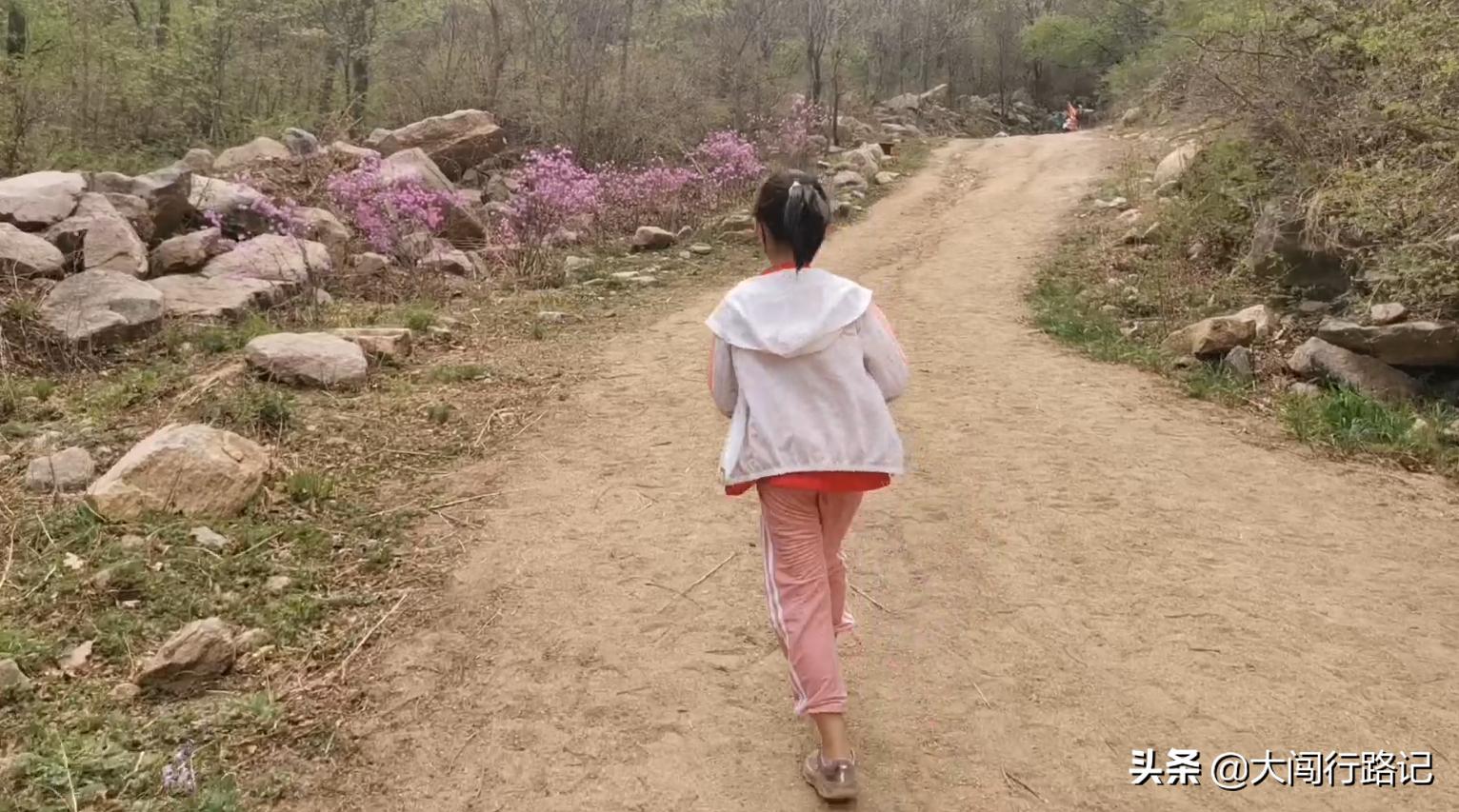 喇叭沟门原始森林游记,怀柔喇叭沟门原始森林2日自驾游