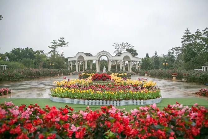 偷偷告诉你驴友们常去的从化小众特色小镇~比森林公园更美更好玩