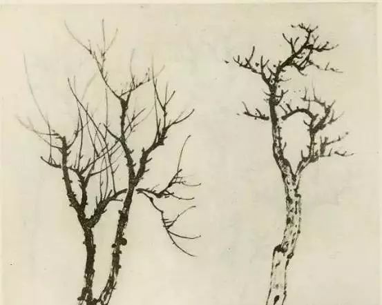 怎样画树画得好看,怎么画树最简单而且还最好看