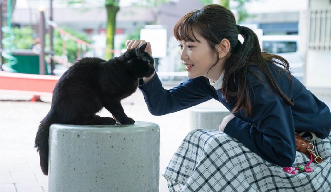 石原里美、堺雅人新剧即将开播，2020年7月夏季档日剧全攻略